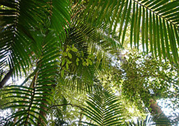 YarriabinniNationalPark YarriabinniNationalPark